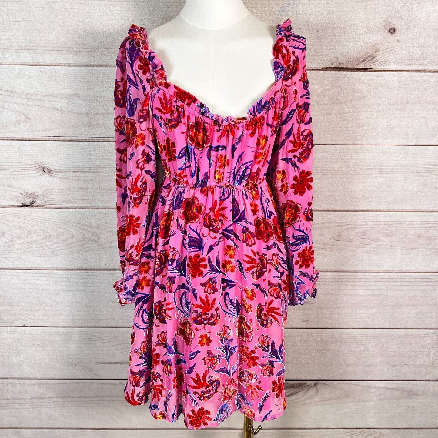 Hale Bob Narva Velvet Burnout Mini Dress Womens Sz XS Pink Floral Empire Waist